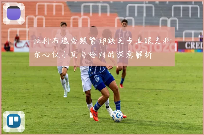 拉科布选秀频繁却缺乏专业眼光科尔心仪小瓦与哈利的深意解析