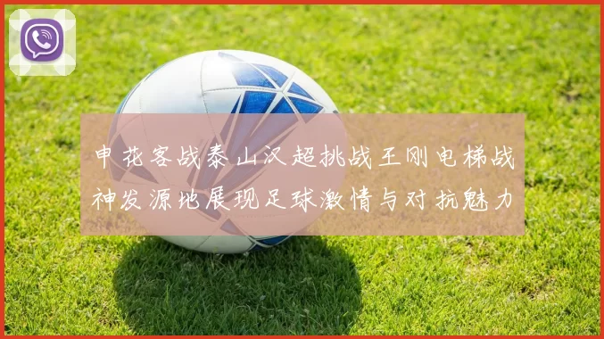 申花客战泰山汉超挑战王刚电梯战神发源地展现足球激情与对抗魅力